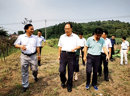 赵振华实地调研六国扶贫项目时要求    努力做强做优集体产业   带动更多群众脱贫致富